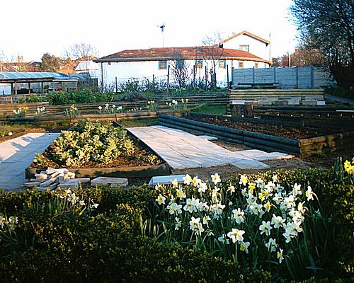 Heeley City Farm